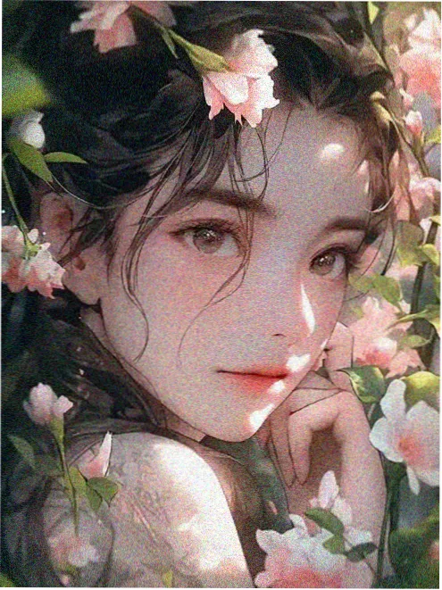 第七张底片手机在线电影排行